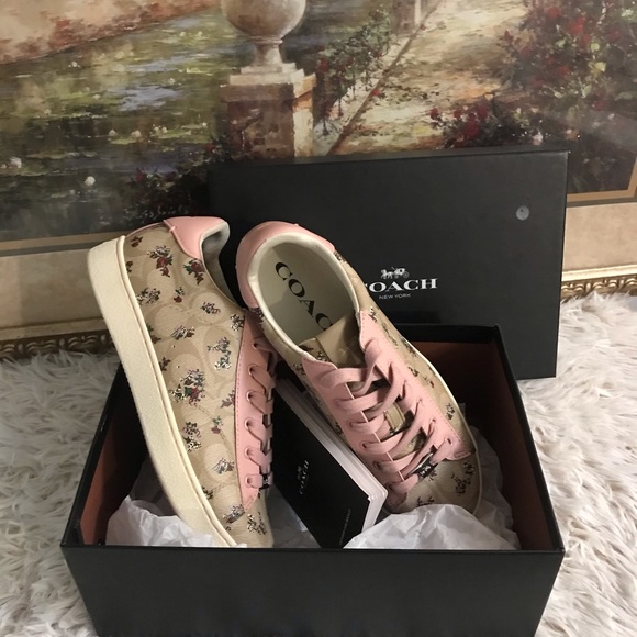 Snakers - Picture 1 of 3